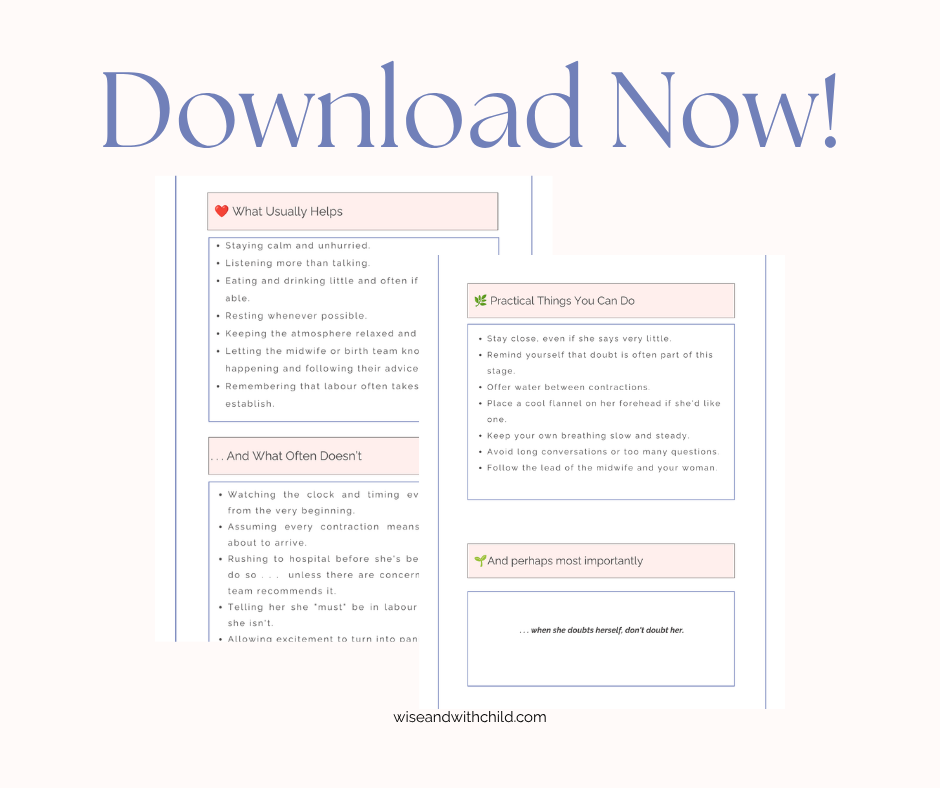 The Birth Companion ~ How To Support Someone You Love Through Birth