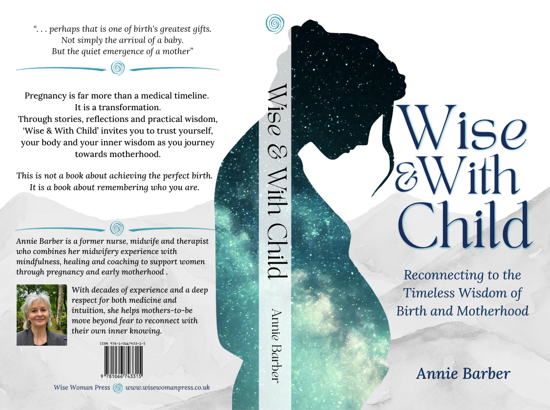 Full paperback cover of Wise & With Child by Annie Barber, including the back-cover description and author biography.