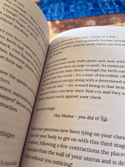 Inside Wise & With Child explaining the stages of labour and the birth of the placenta in Annie Barber's warm, accessible style.