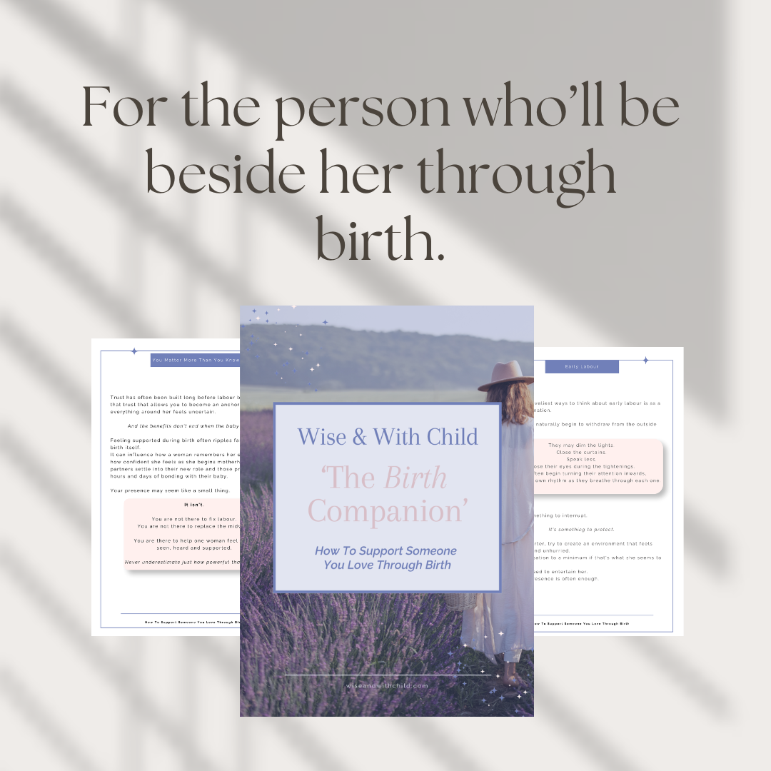 The Birth Companion ~ How To Support Someone You Love Through Birth